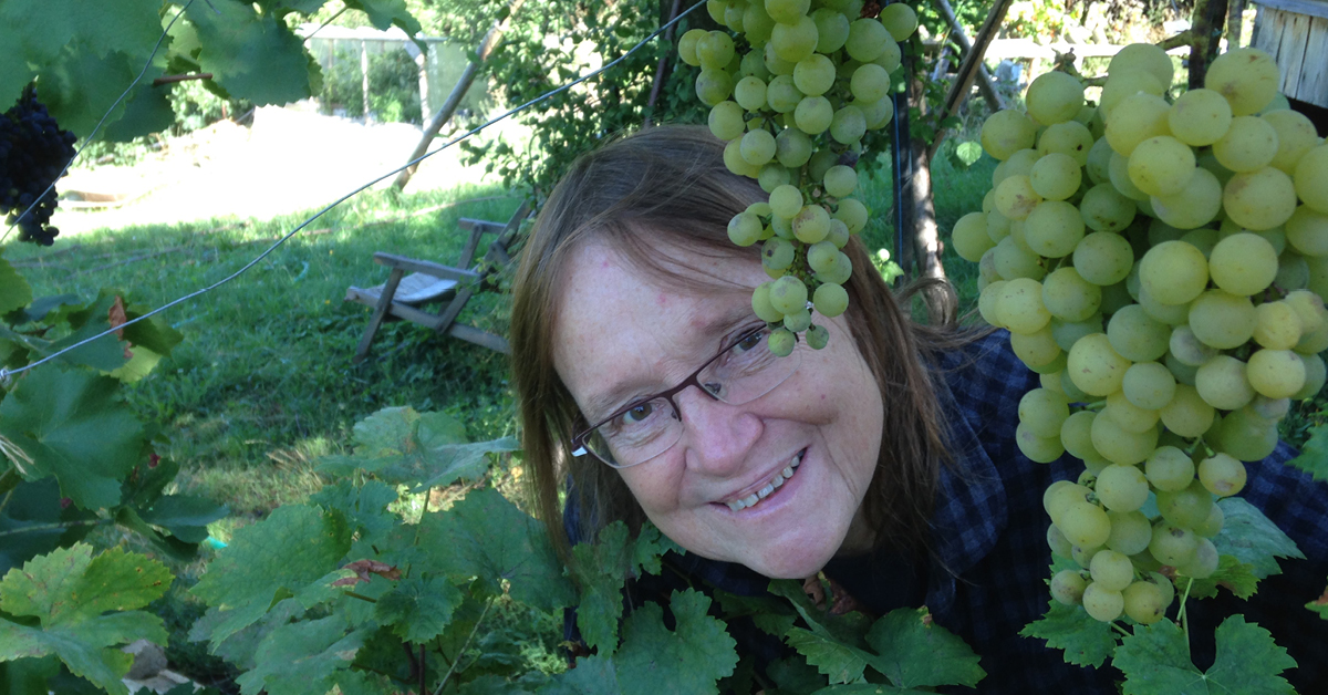 Literární večer v knihovně seznámí s nakladatelstvím Nautilus z Hlinné