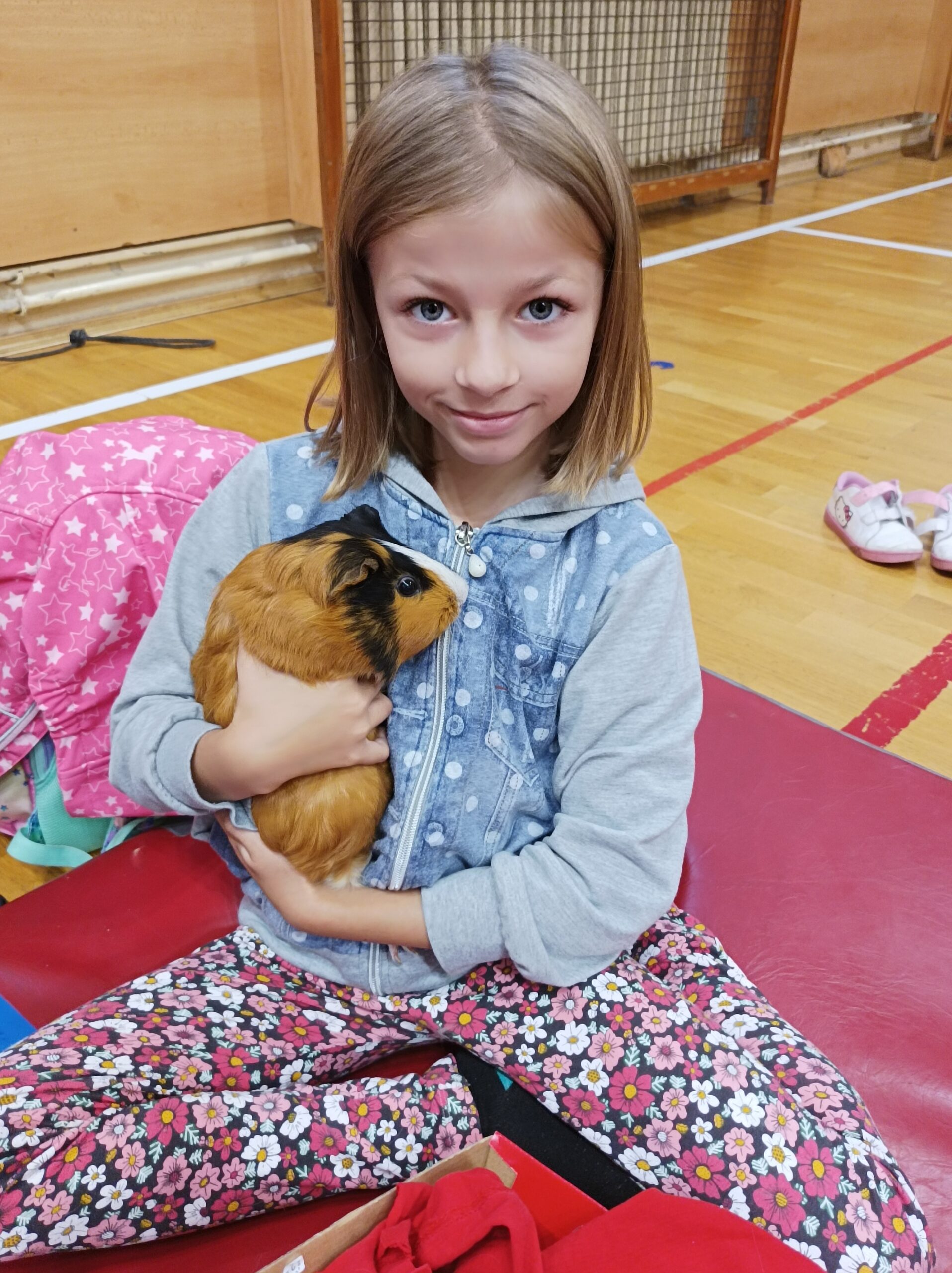 Výstava mazlíčků na ZŠ Sady Pionýrů v Lovosicích