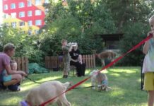 Pořad Na slovíčko s… Václavem Bayerem, ředitelem DDM Rozmarýn