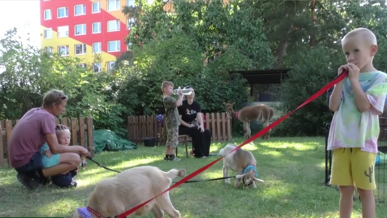 Pořad Na slovíčko s… Václavem Bayerem, ředitelem DDM Rozmarýn