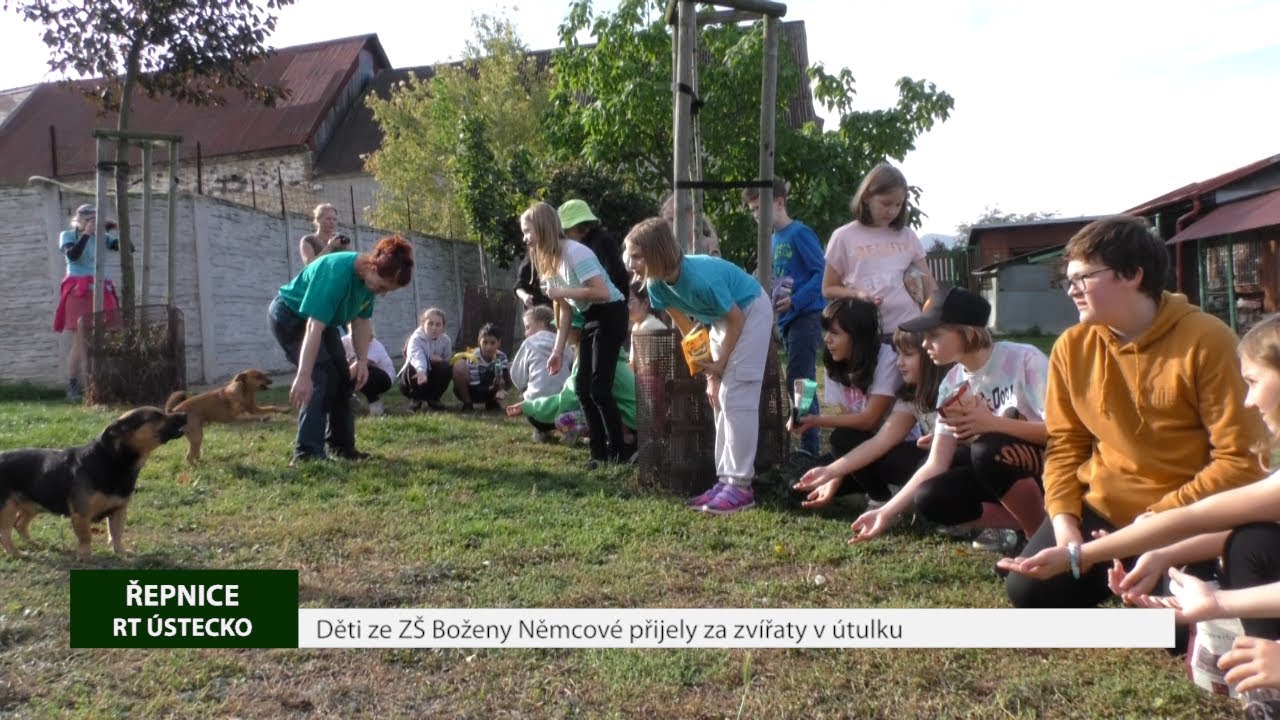 ŘEPNICE: Děti ze ZŠ Boženy Němcové přijely za zvířaty v útulku