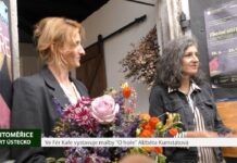 LITOMĚŘICE: Ve Fér Kafe vystavuje malby „O hoře“ Alžběta Kumstátová