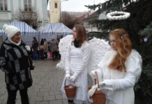 Kam o víkendu na Litoměřicku