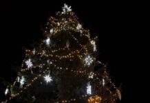 V Libochovicích se vánoční strom rozsvítí už tuto sobotu