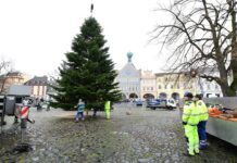 Vánoční strom už zdobí Mírové náměstí