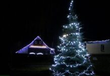 V Křešicích se vánoční strom rozsvítí tuto sobotu