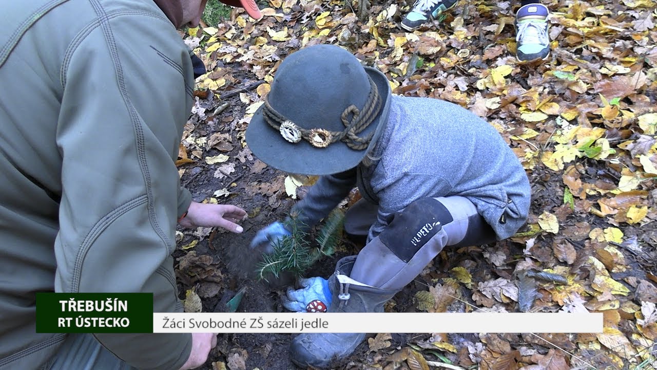 TŘEBUŠÍN: Žáci Svobodné ZŠ sázeli jedle