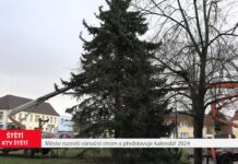 ŠTĚTÍ: Město rozsvítí vánoční strom a představuje kalendář 2024