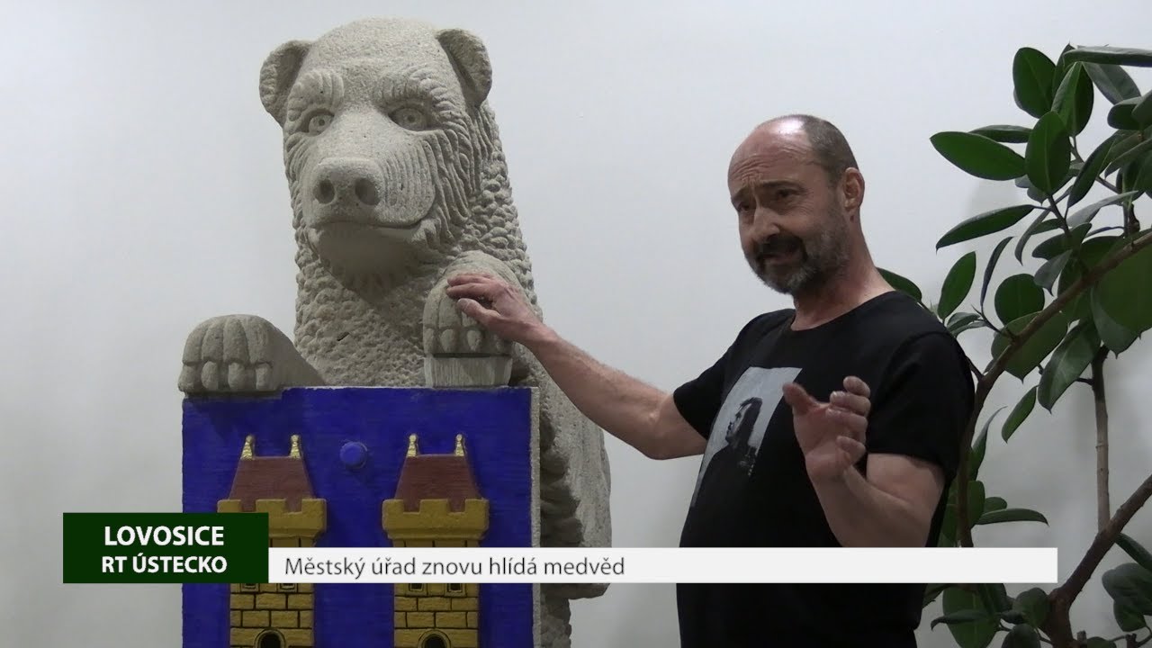 LOVOSICE: Městský úřad znovu hlídá medvěd