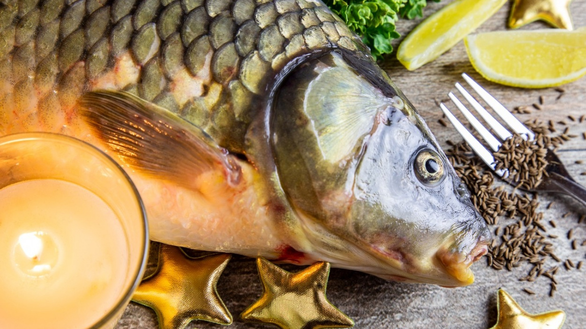 Do Roudnice opět připluje Vánoční kapřík, podpoří děti s hendikepem