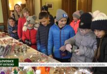 LOVOSICE: Vánoční výstava Šance Lovosice opět nabídla inspiraci na sváteční výzdobu