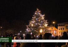 LOVOSICE: Nový vánoční strom města už svítí