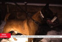 ŠTĚTÍ: Zahrádkářské osady čelí útokům zlodějů. Hlídá je městská policie se psem