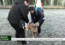 ŘEPNICE: Děti ze ZŠ Aloise Klára v Úštěku přivezly dárky opuštěným psům a kočkám