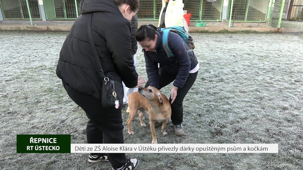 ŘEPNICE: Děti ze ZŠ Aloise Klára v Úštěku přivezly dárky opuštěným psům a kočkám