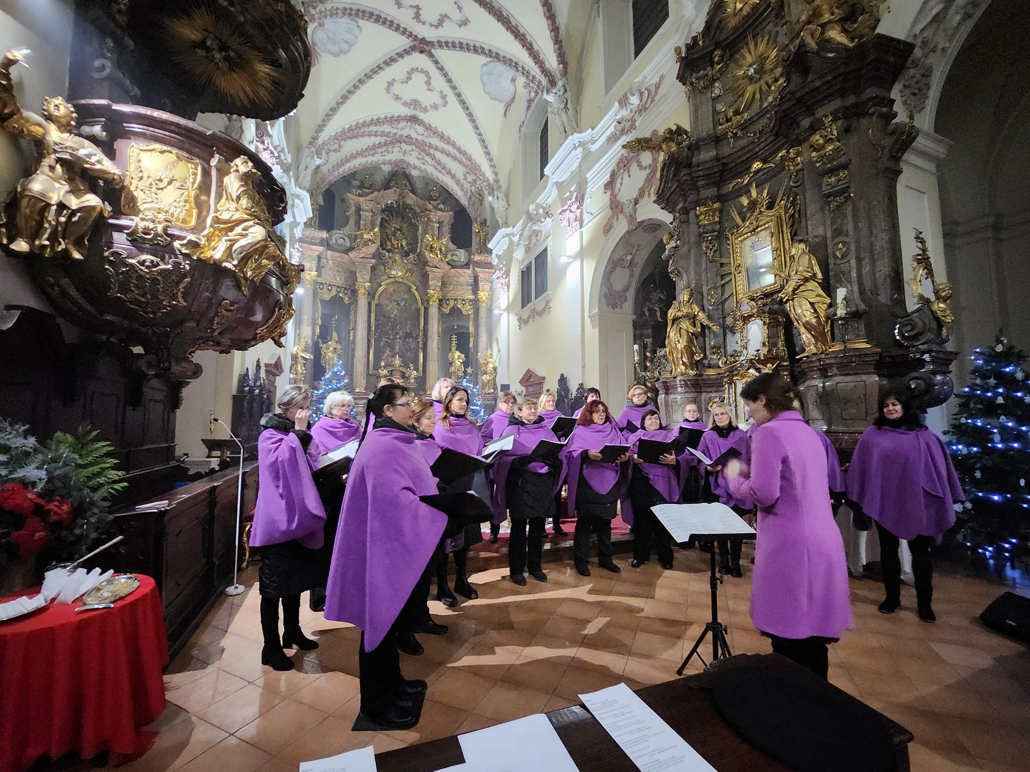 Do tříkrálové kasičky můžete tradičně přispět také na koncertě