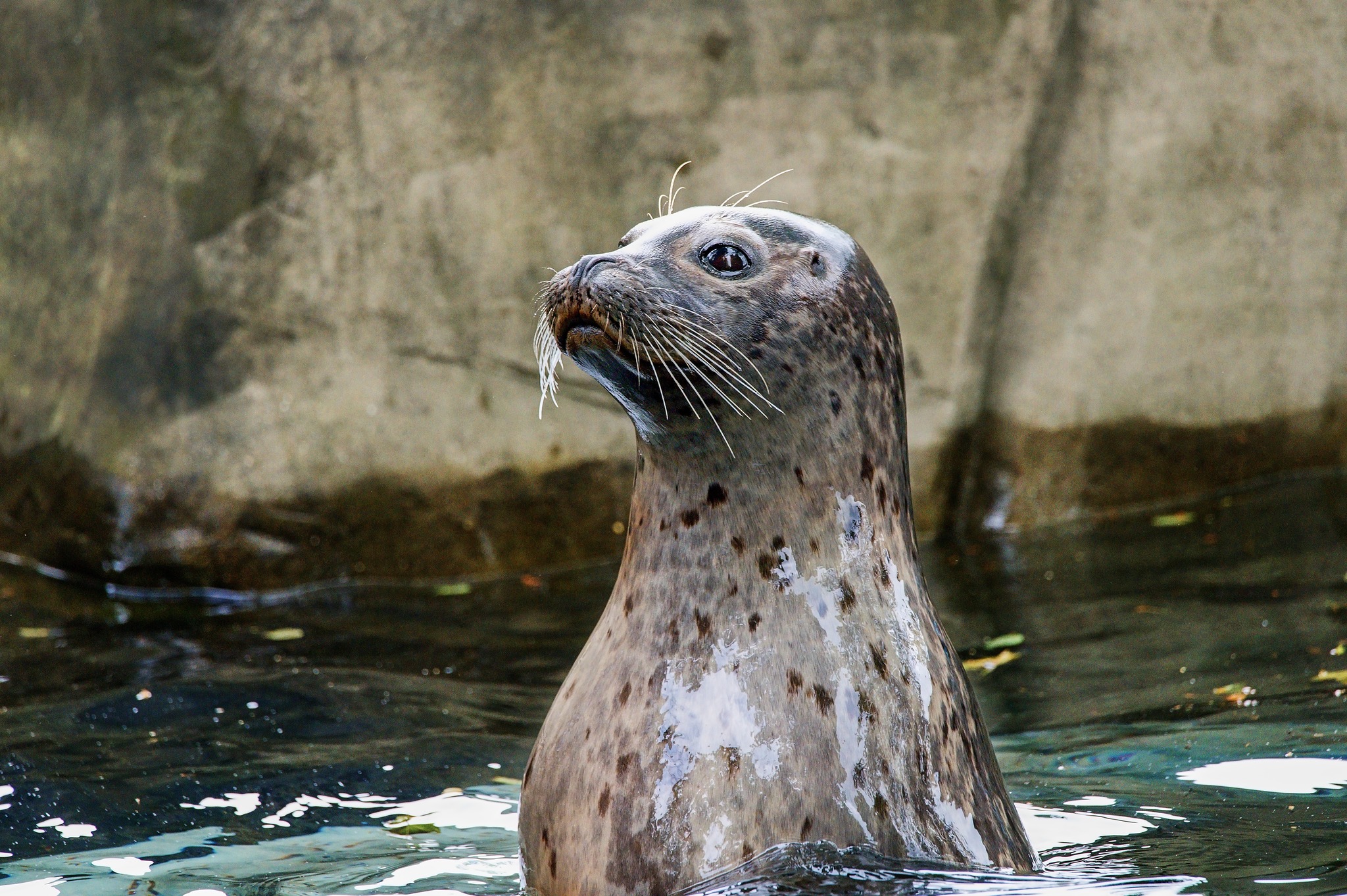 O pololetních prázdninách do ústecké Zoo jen za 1,- Kč!