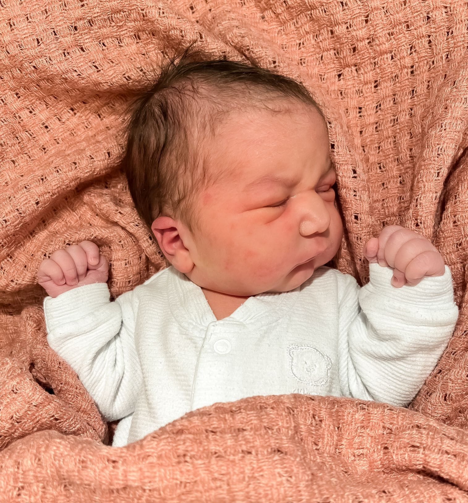 V Roudnici nad Labem se jako první narodila Julia