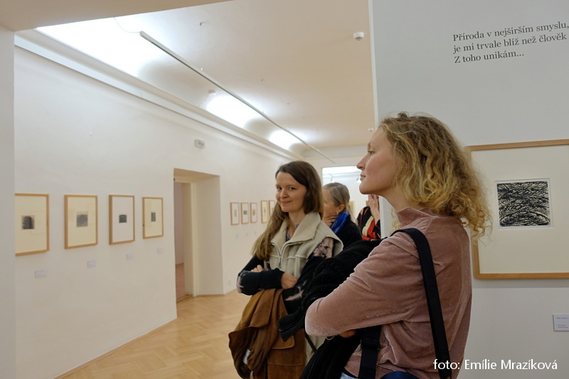 Přijďte na poslední komentovanou prohlídku výstavy Miroslava Kovala!