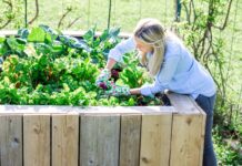 ZŠ v Libochovicích shání peníze na další zvelebení školní zahrady