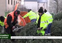 LITOMĚŘICE: Vánoční stromky se do města vrátí v podobě kompostu