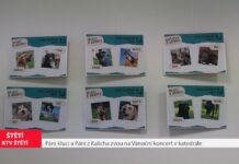 ŠTĚTÍ: Výstava v Informačním centru pomůže psímu útulku