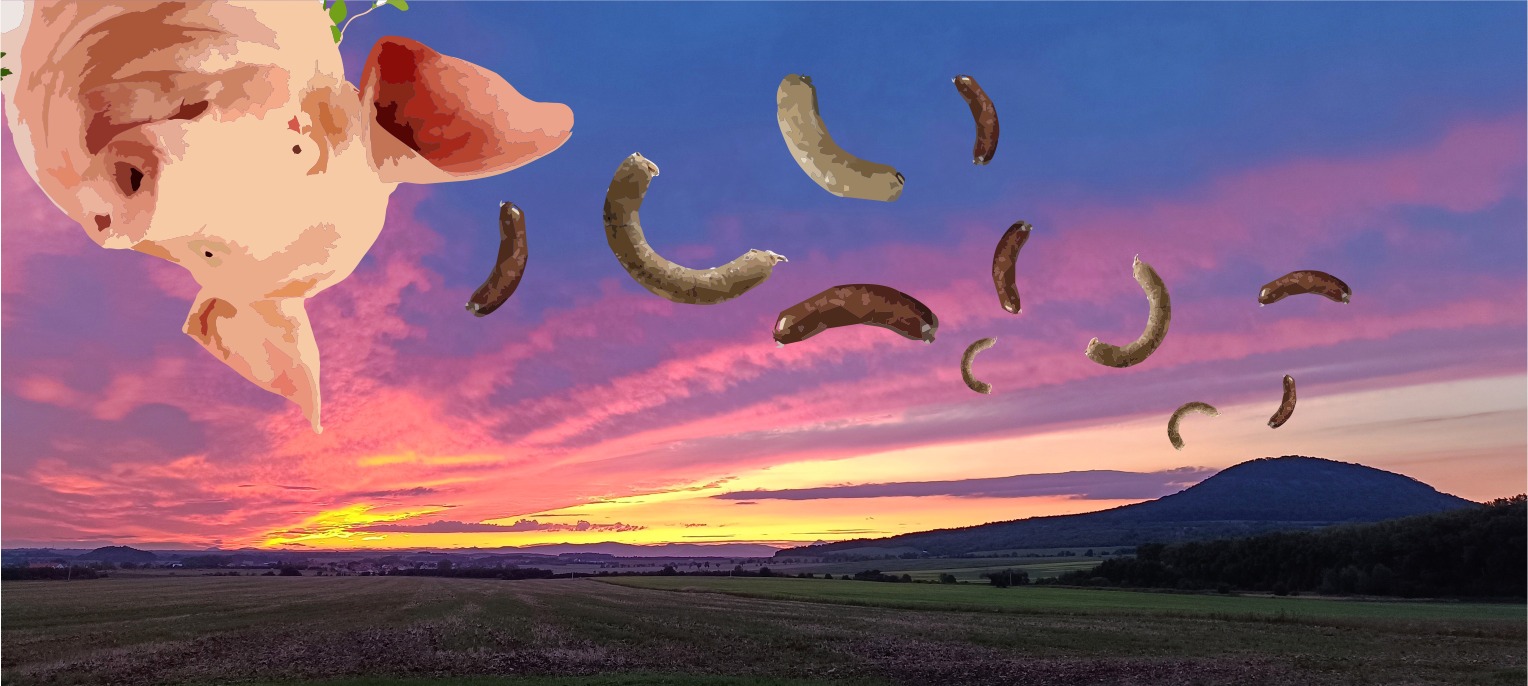 Výšlap na Říp můžete v sobotu zakončit jitrnicí nebo křupavým bůčkem