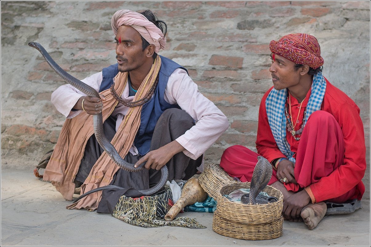 Městská knihovna Lovosice zve na Putování severní Indií