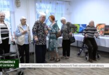 LITOMĚŘICE: Studenti Univerzity třetího věku z Domova U Trati vystavovali své obrazy