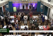 LOVOSICE: Festival Čína fest poodhalil tajemství tradiční čínské medicíny i cvičení čchi-kung