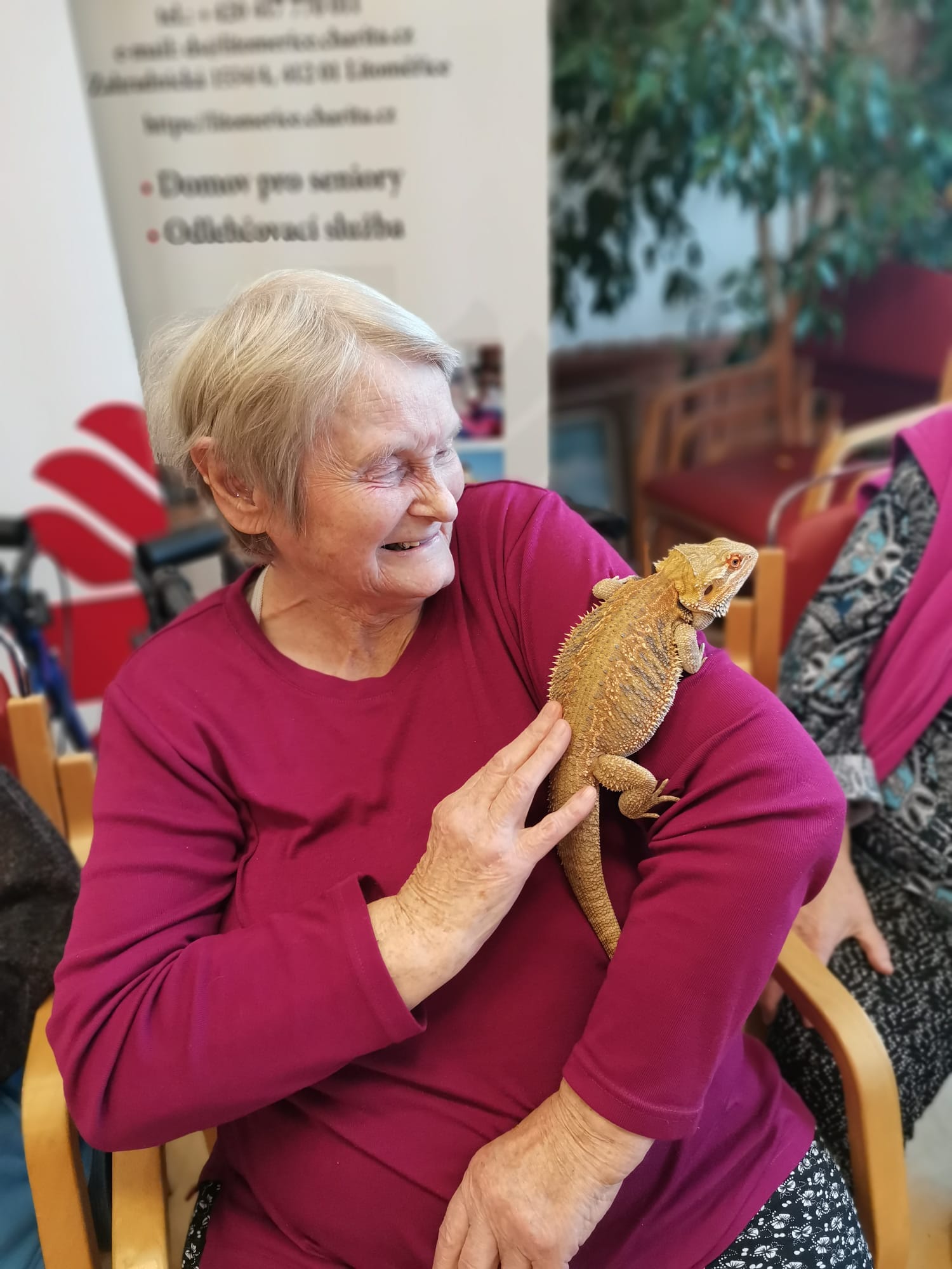 Ježíškova vnoučata k seniorům přivezla malou Zoo