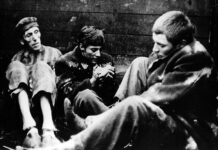 Filmový festival Za hradby nabídne tentokrát Lustigovy Démanty noci