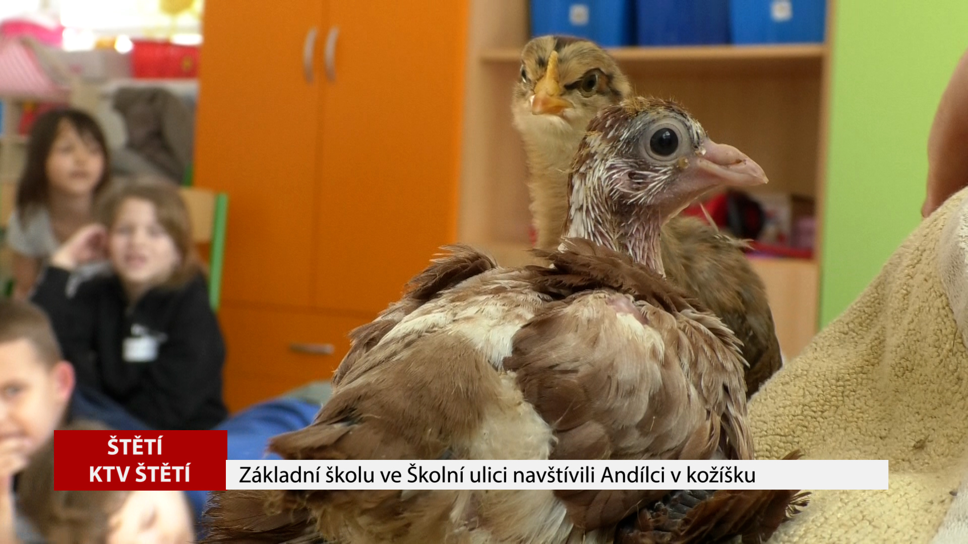 ŠTĚTÍ: Základní školu ve Školní ulici navštívili Andílci v kožíšku