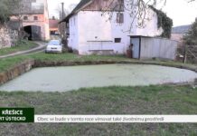 KŘEŠICE: Obec se bude v tomto roce věnovat také životnímu prostředí