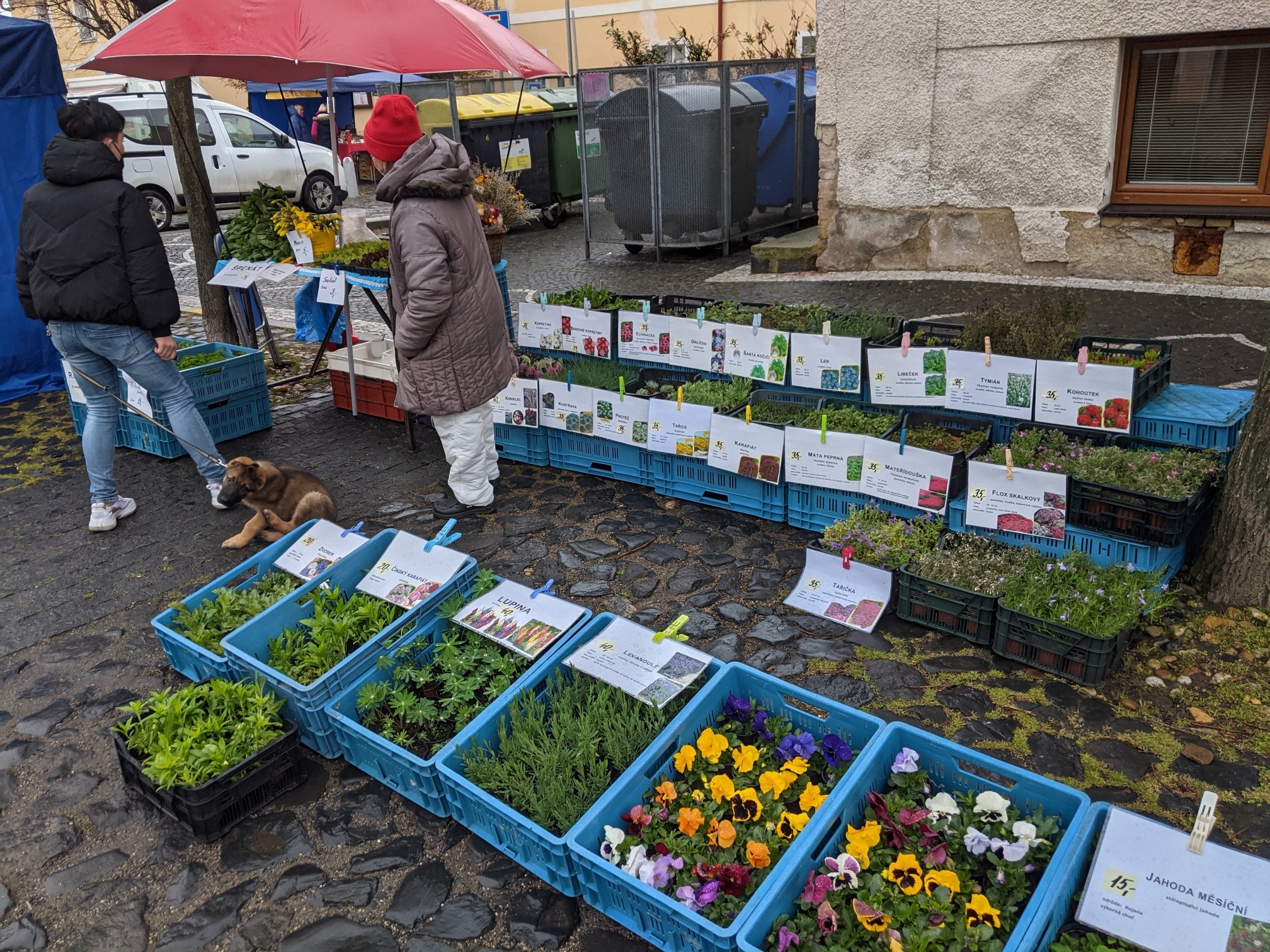 Kam o víkendu na Litoměřicku