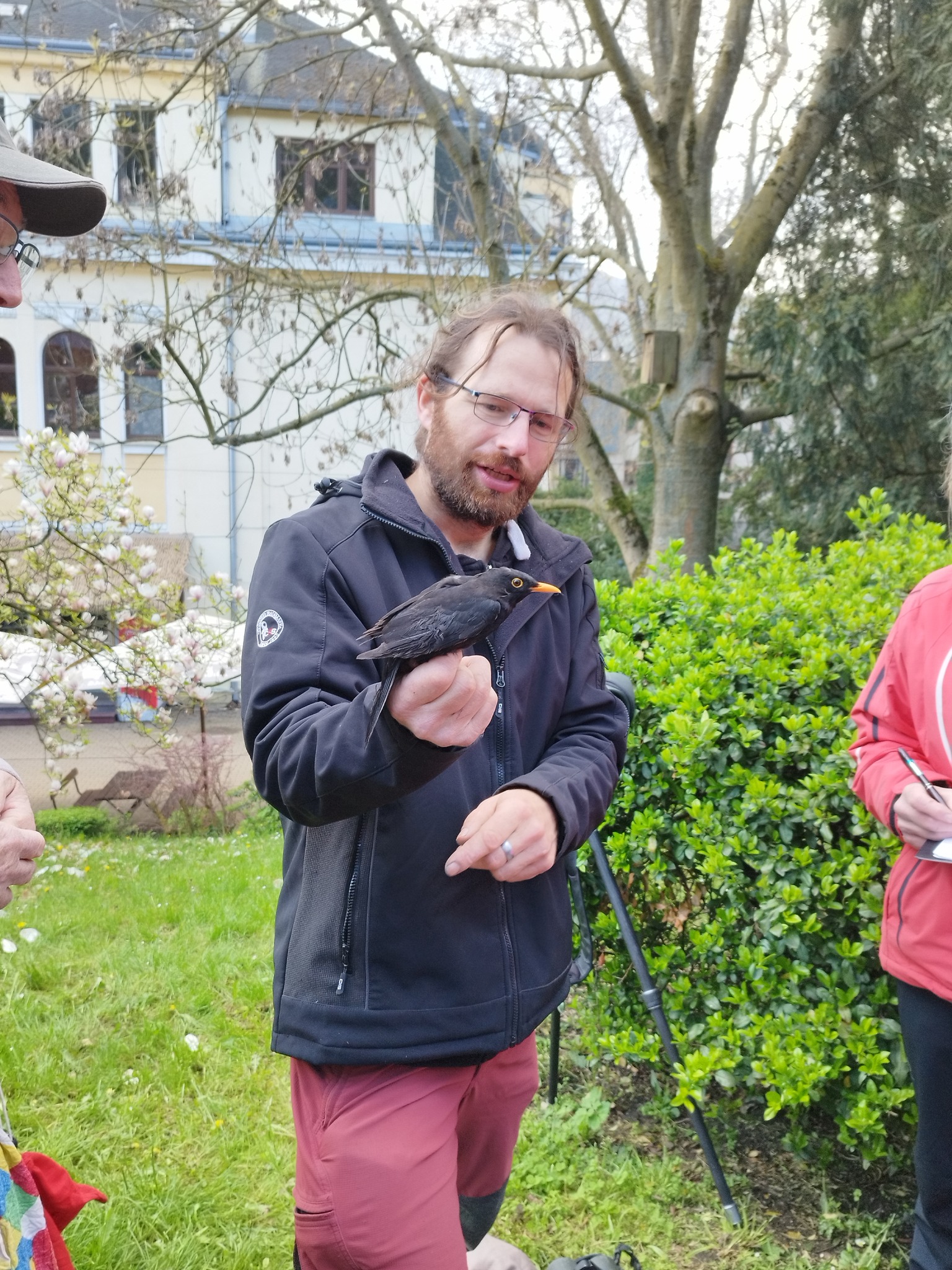 Vítání ptačího zpěvu v ústecké Zoo bude s ukázkami kroužkování ptáků