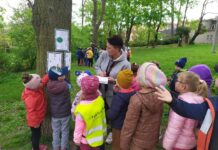 Jarní poznávačka léčivých bylin v Roudnici nad Labem