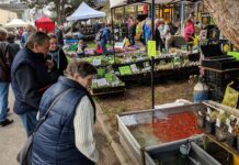 Na Tržnici Zahrady Čech bude v pátek bohatý kulturní program