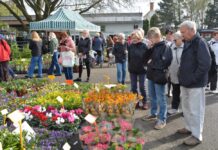 Tržnice Zahrady Čech přilákala téměř dvacet šest tisíc návštěvníků