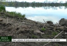 KŘEŠICE: Obec uklízelo 40 dobrovolníků, akci zakončil společný oběd