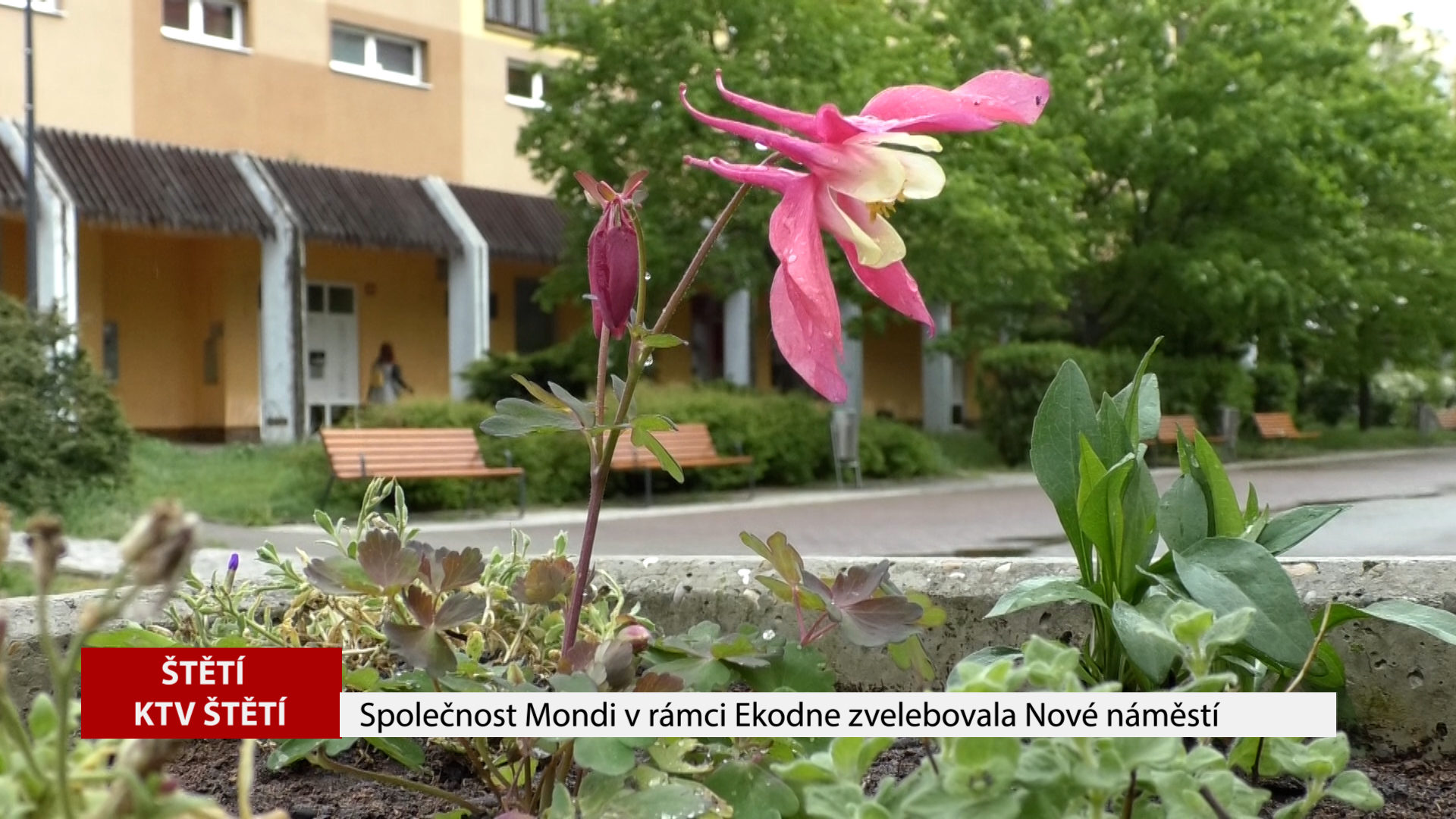 ŠTĚTÍ: Společnost Mondi v rámci Ekodne zvelebovala Nové náměstí