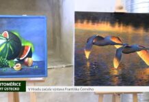 LITOMĚŘICE: V Hradu začala výstava Františka Černého