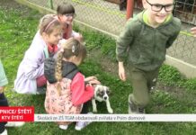 ŠTĚTÍ/ ŘEPNICE: Školáci ze ZŠ TGM obdarovali zvířata v Psím domově