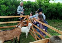 U pomníku Přemysla Oráče ve Stadicích bude v sobotu celodenní program