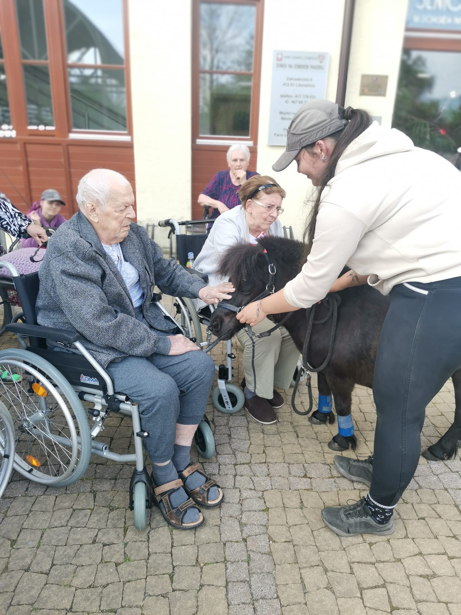 Do Domova pro seniory na Dómském pahorku přišel na návštěvu poník