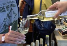 V. ŽERNOSEKY: Žernosecký košt opět přilákal stovky lidí