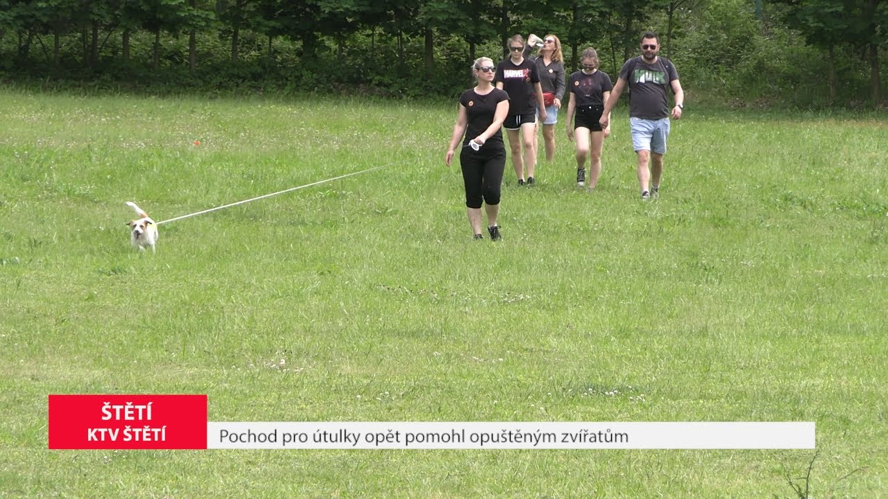 ŠTĚTÍ: Pochod pro útulky opět pomohl opuštěným zvířatům