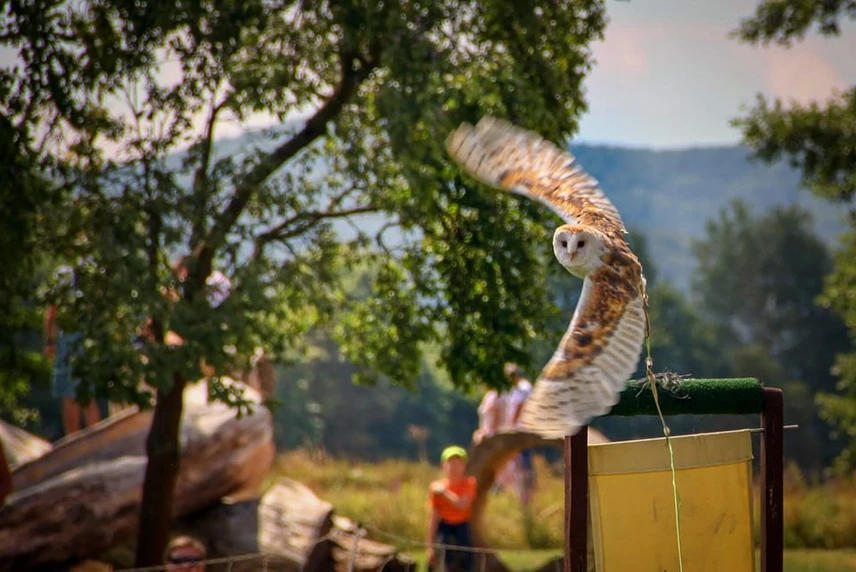 Dny myslivosti a přírody v Lovosicích nabídnou bohatý program