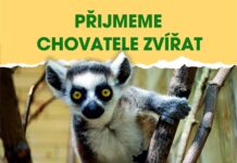 Volná místa: Chovatel zvířat v Zoo Ústí nad Labem
