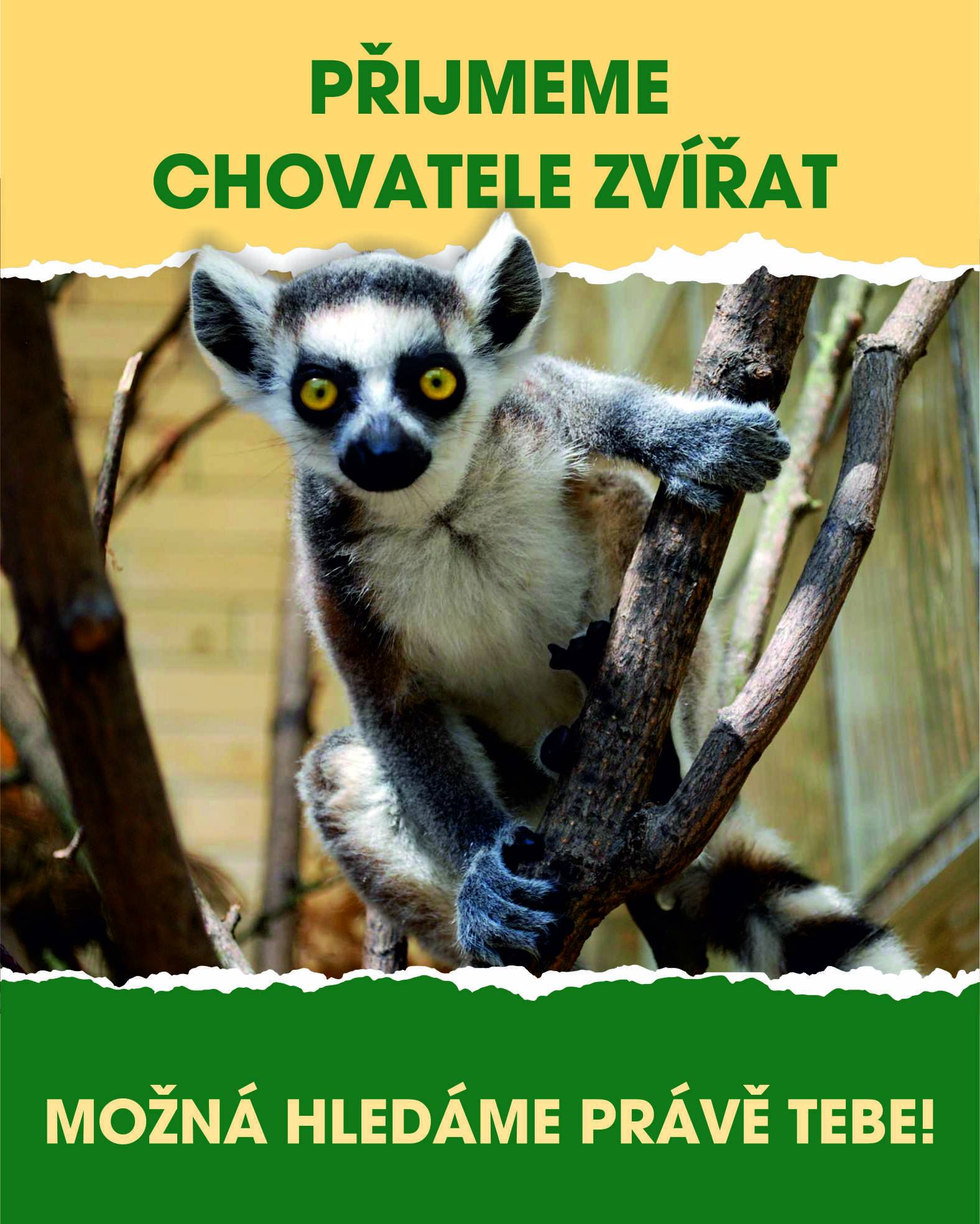 Volná místa: Chovatel zvířat v Zoo Ústí nad Labem